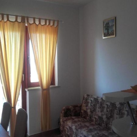 Apartments Smilje I Maslina Gornji Karin Habitación foto